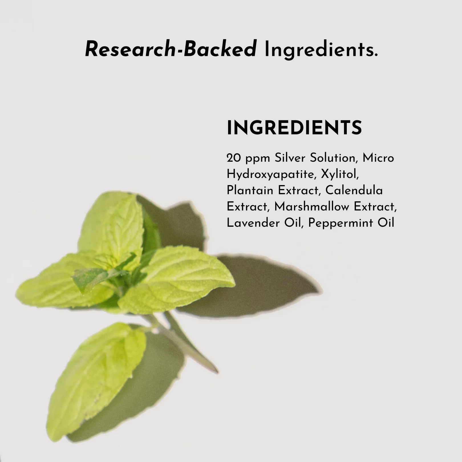 Freshening Breath Spray (Cool Mint) - Image 5