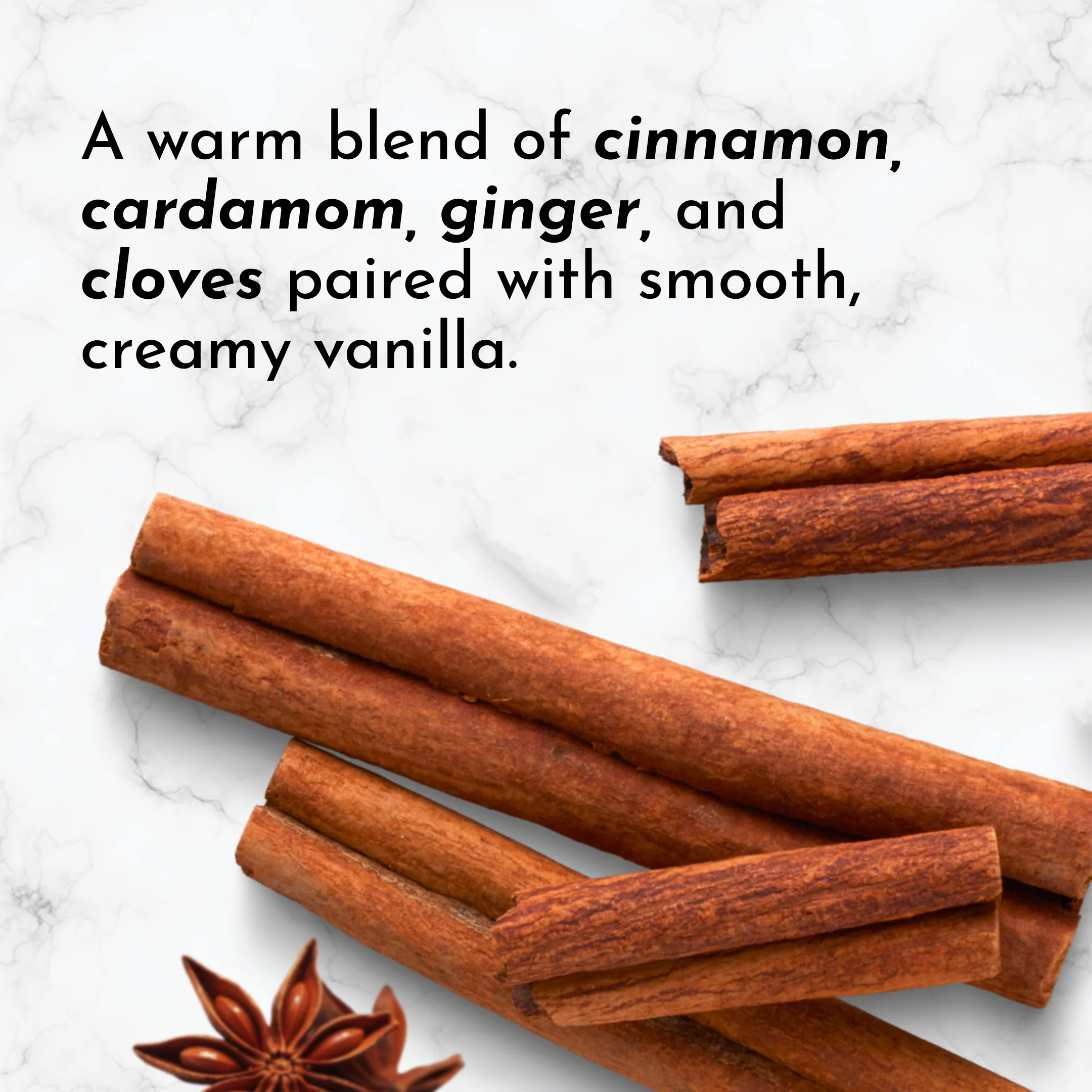 Chai Protein Powder Stick - Image 8