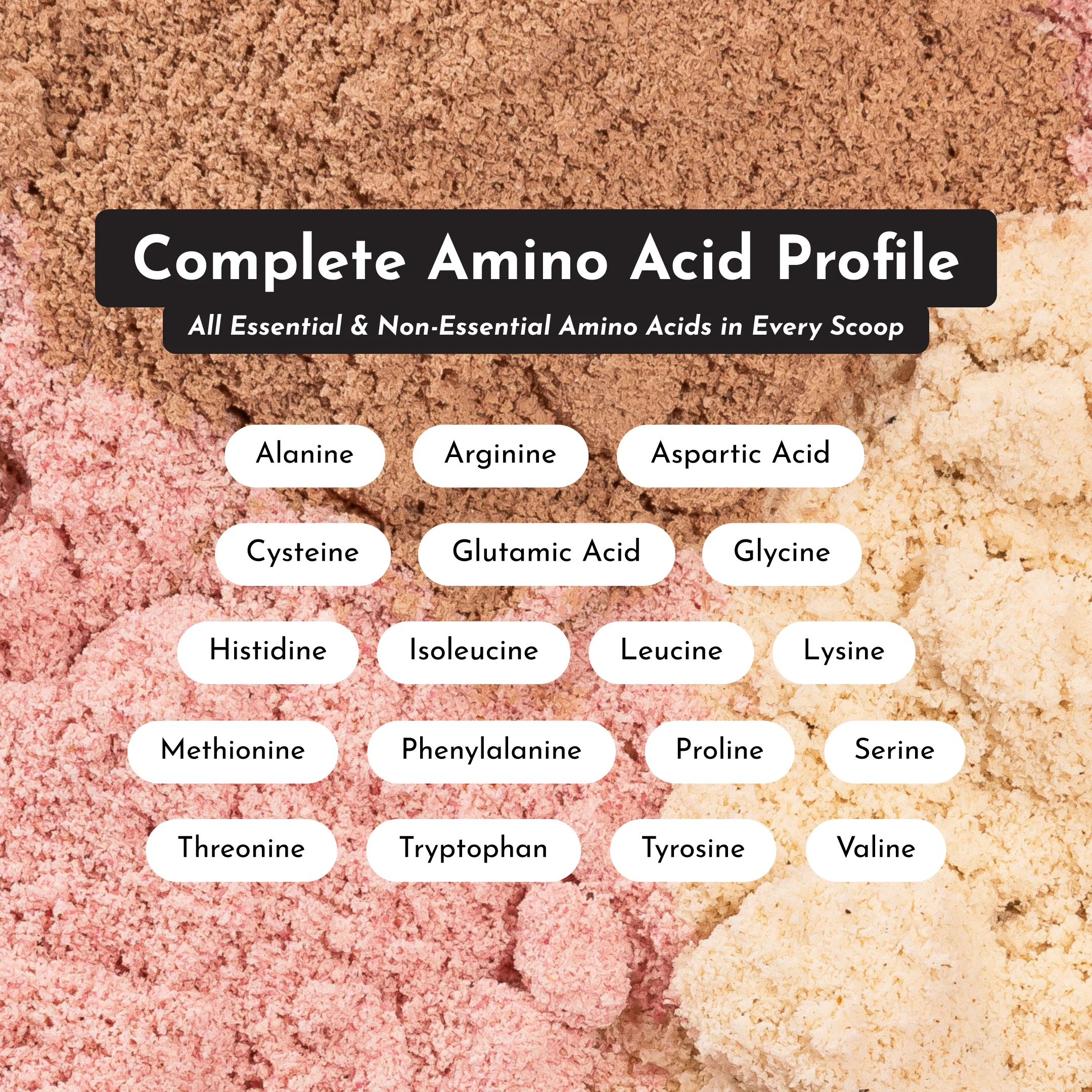 Chocolate Protein Powder - Image 9