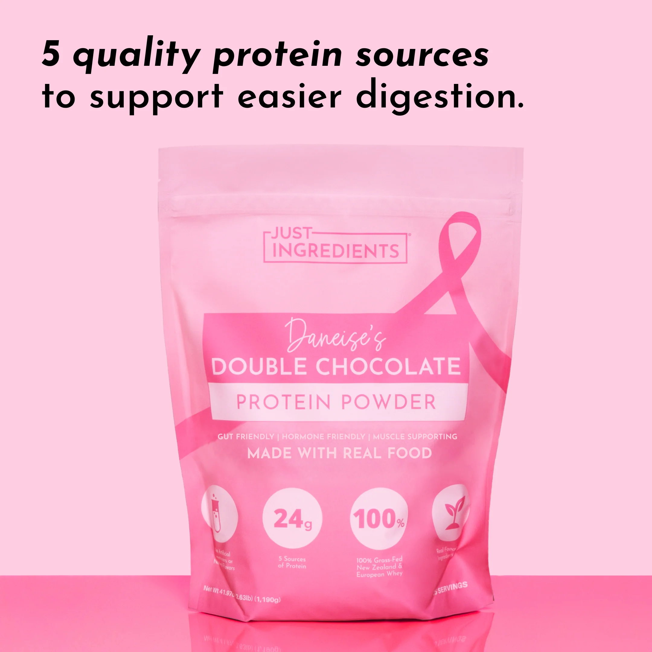 Daneise's Double Chocolate Protein Powder - Image 3