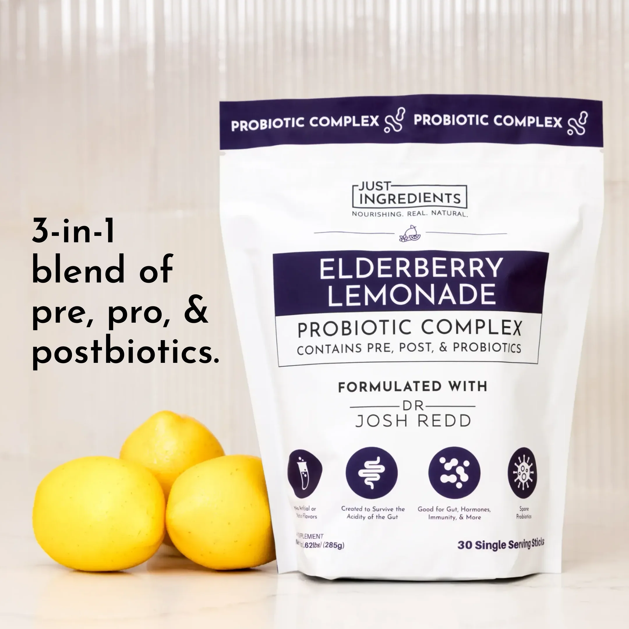 Elderberry Lemonade 3-In-1 Probiotic Complex - Image 3