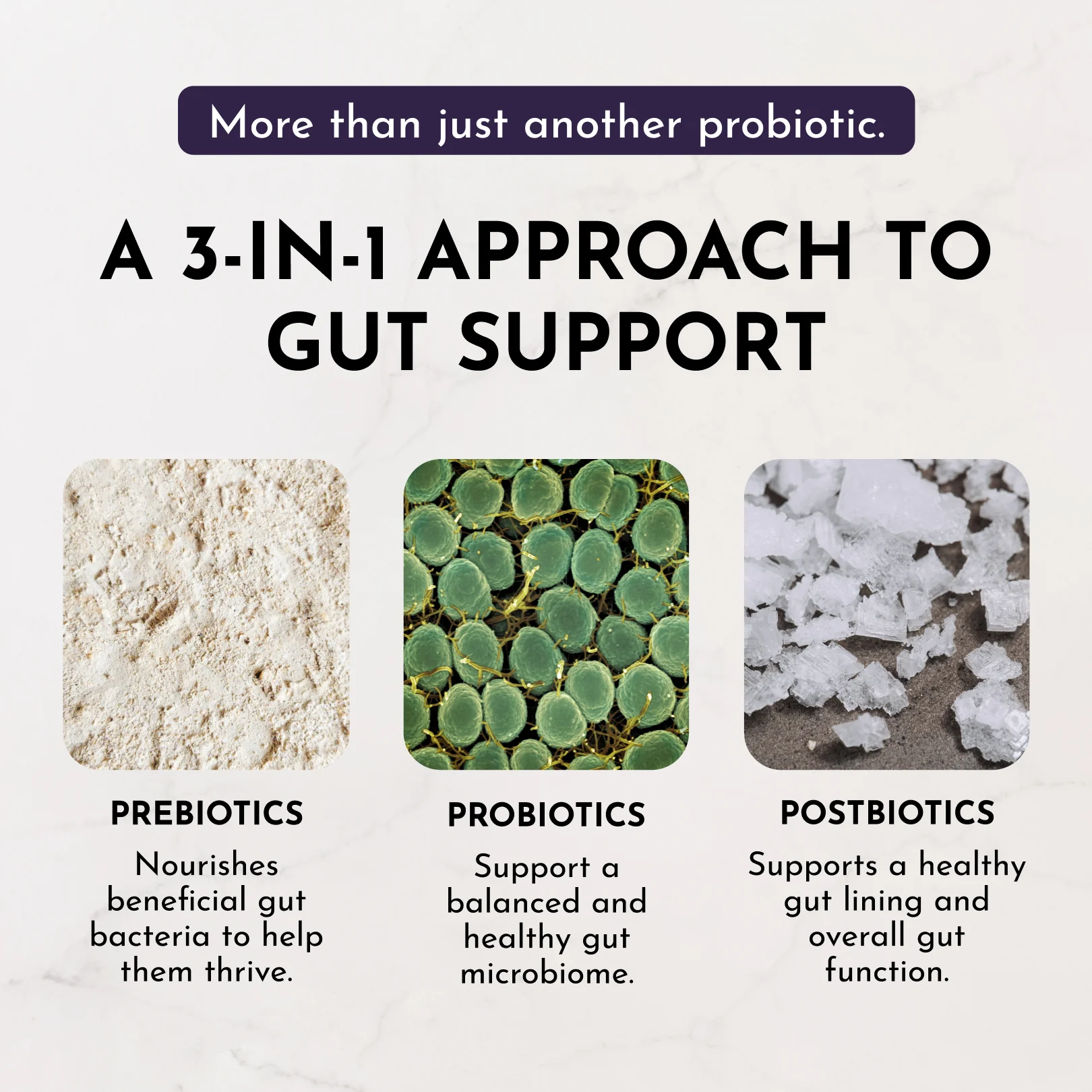 Elderberry Lemonade 3-In-1 Probiotic Complex - Image 8