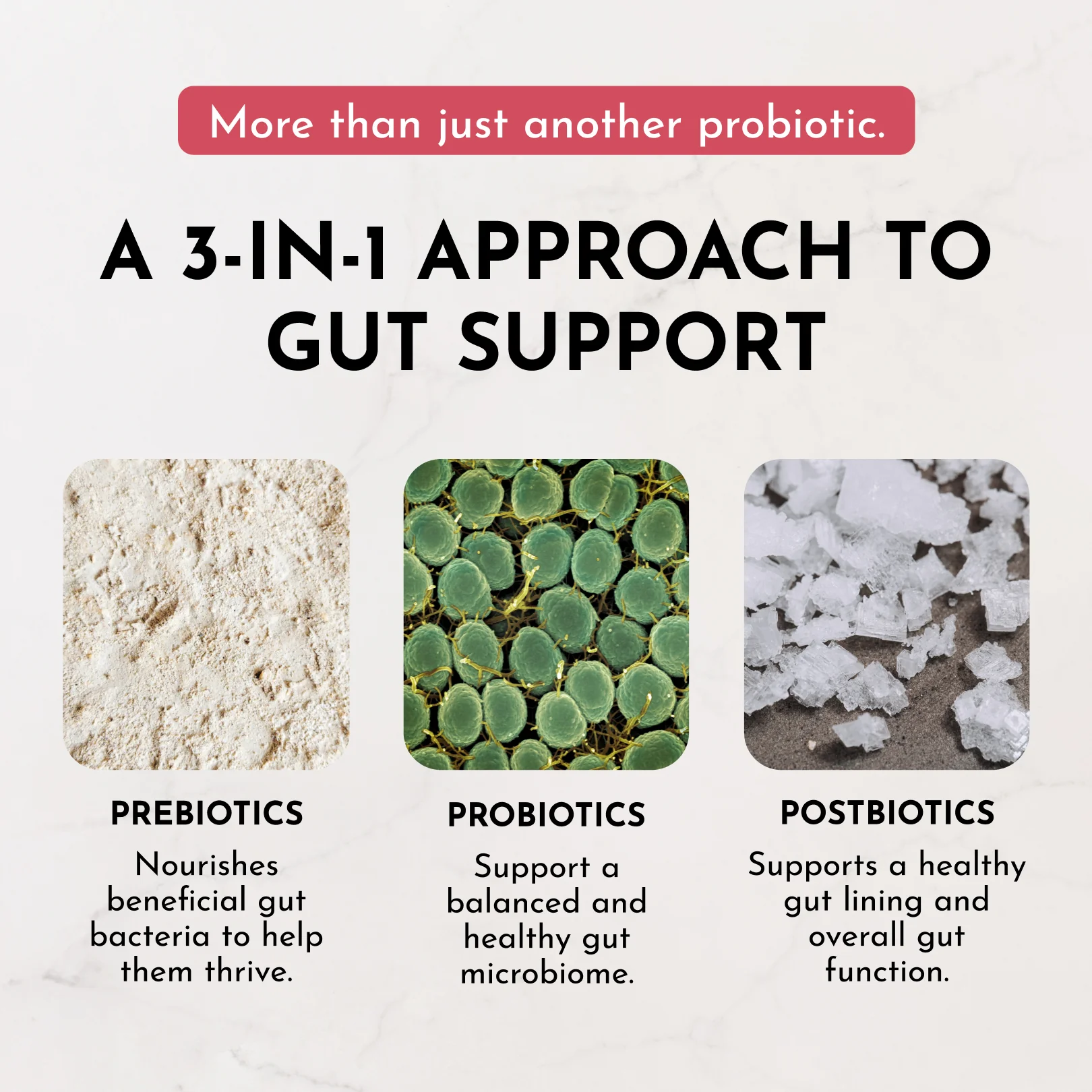 Fruit Punch Probiotic (Kids) - Image 8