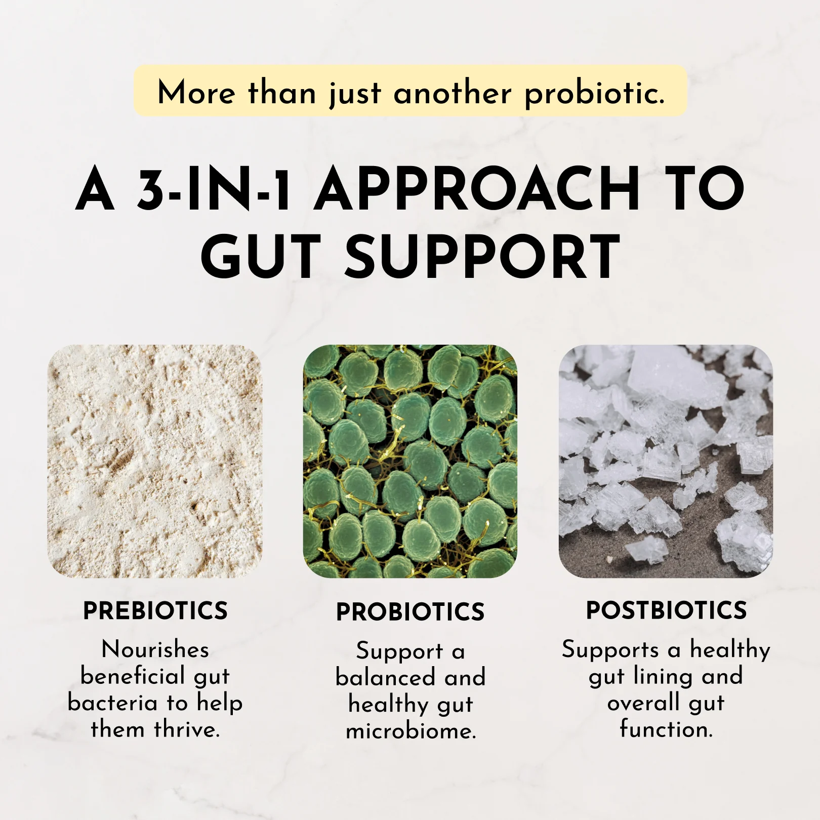 Lemon Ginger 3-In-1 Probiotic Complex - Image 8
