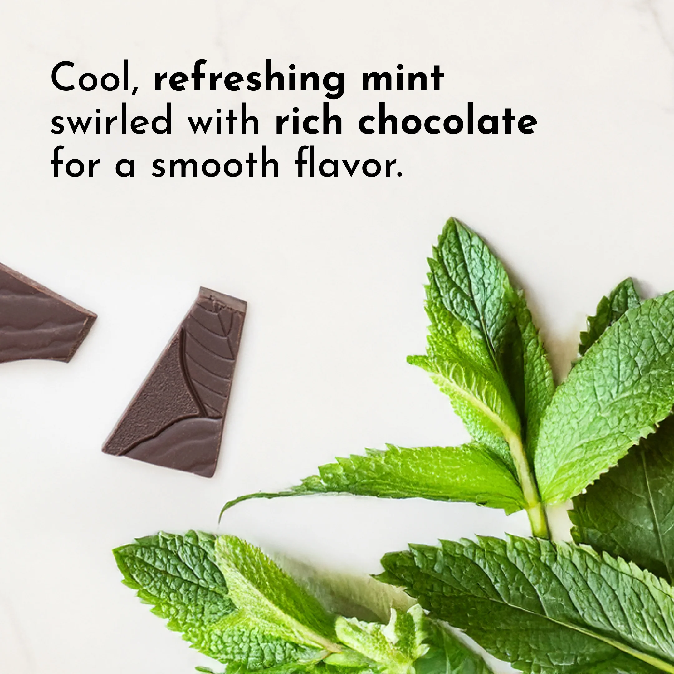 Mint Chocolate Bone Broth Protein Powder - Image 9