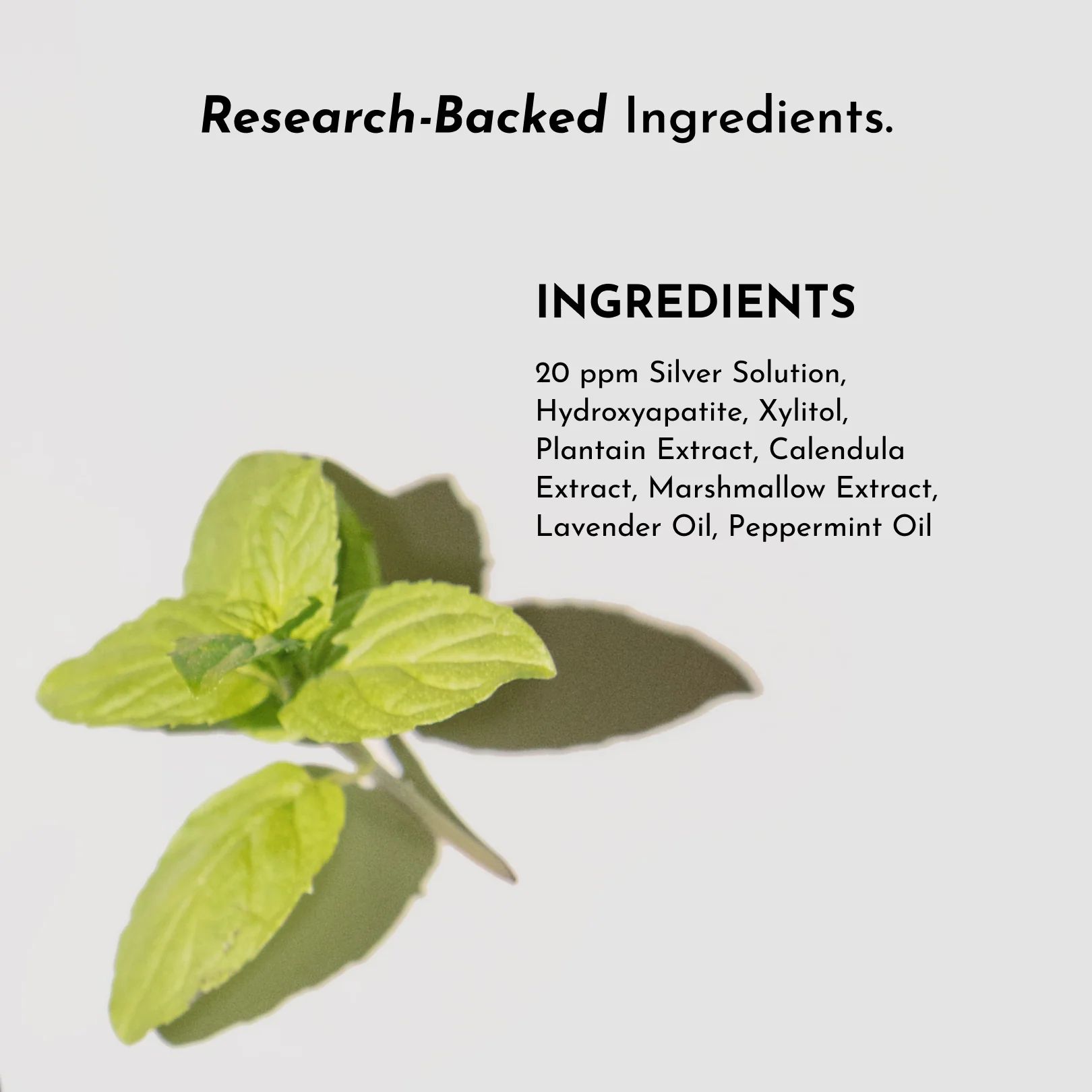 Remineralizing Mouth Wash (Cool Mint) - Image 5