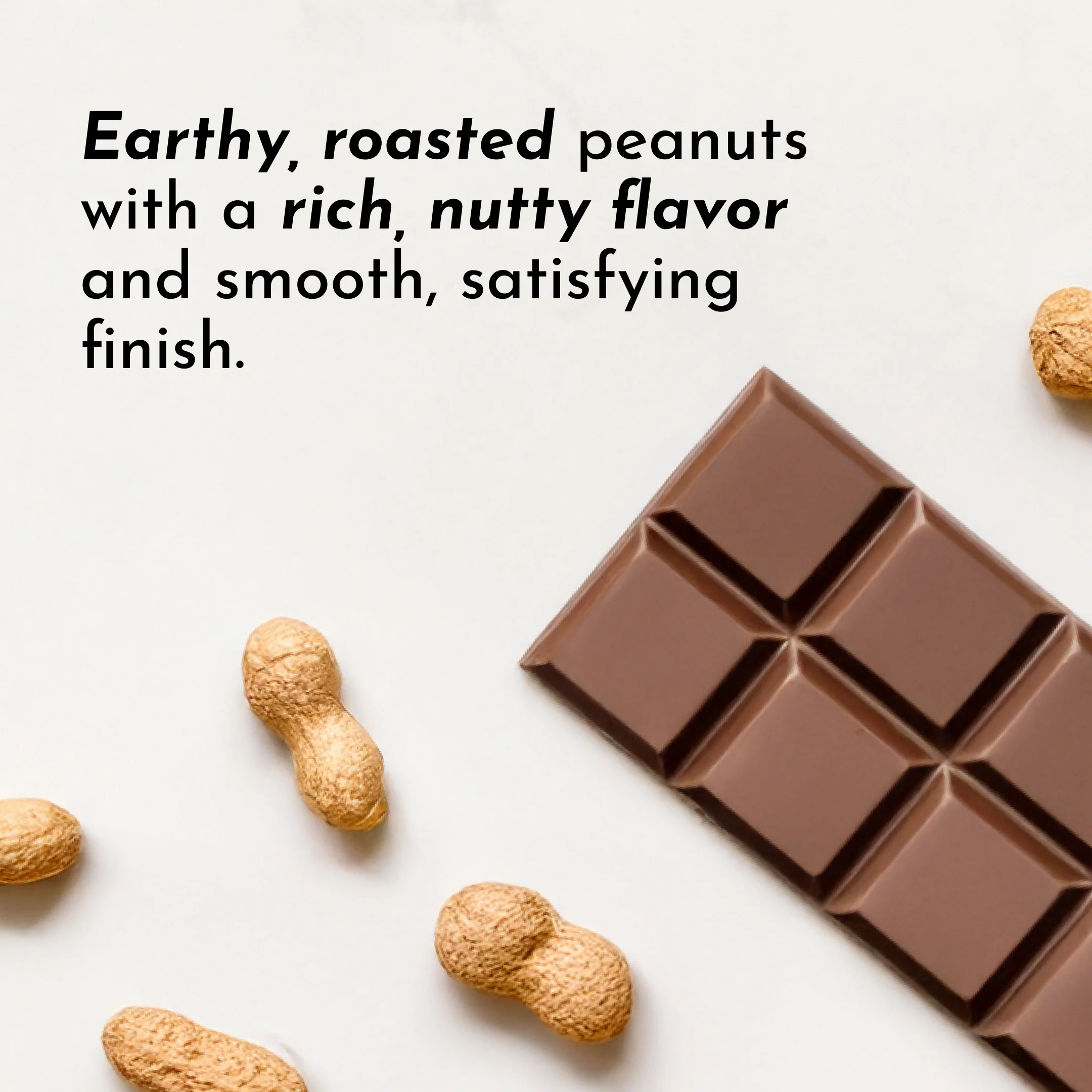Roasted Peanut Butter Chocolate Protein Powder - Image 10