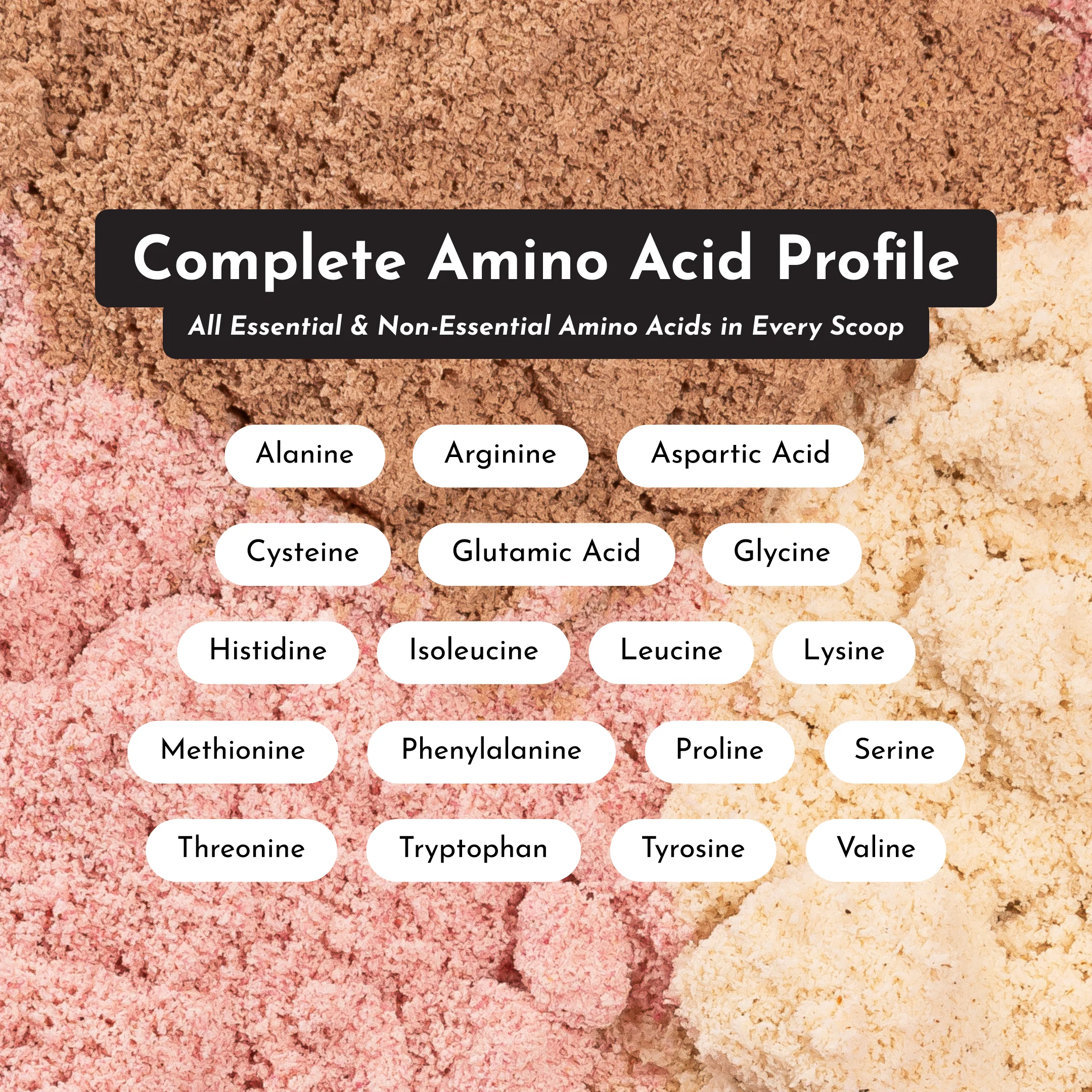 Roasted Peanut Butter Chocolate Protein Powder Stick - Image 6