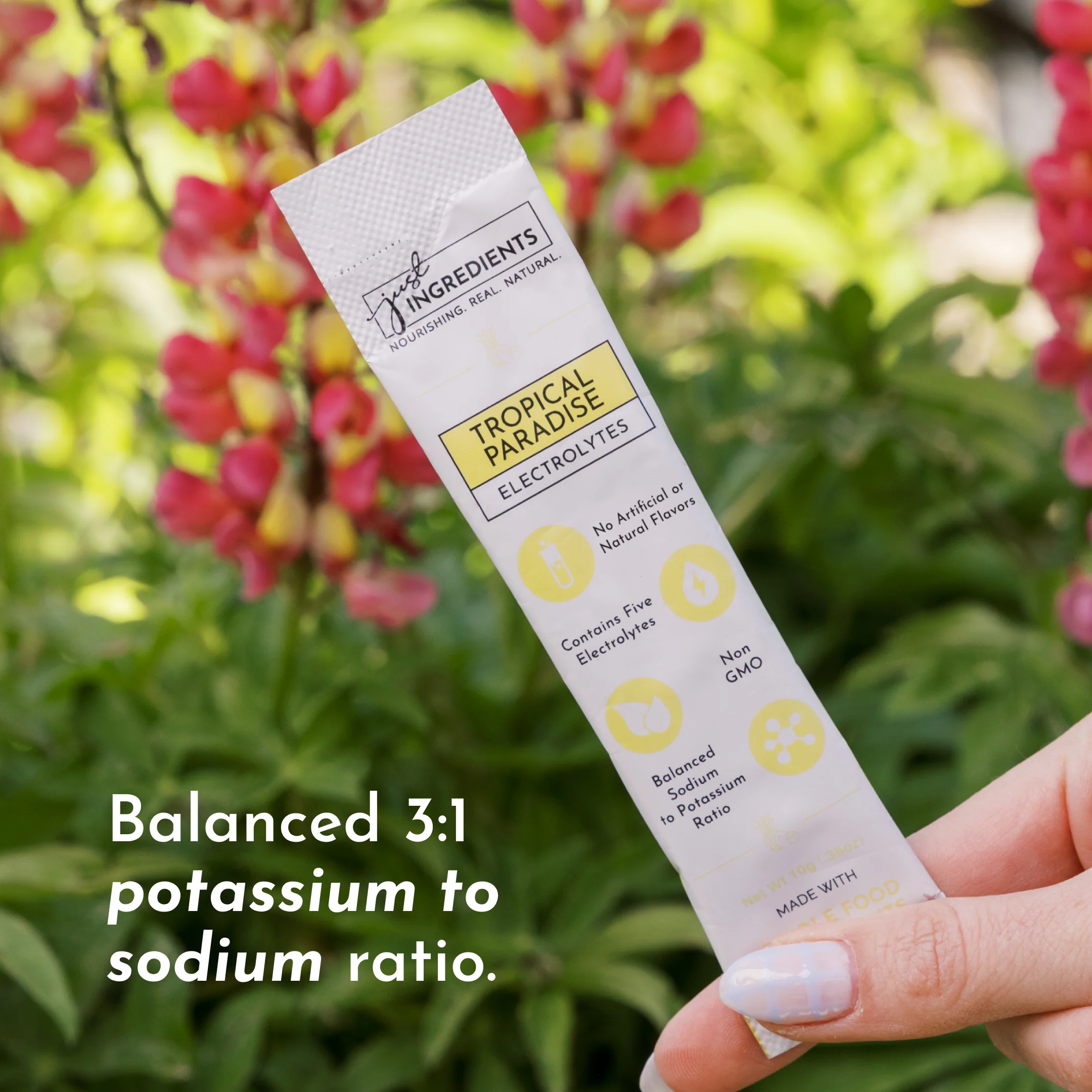 Tropical Paradise Electrolytes Stick - Image 3