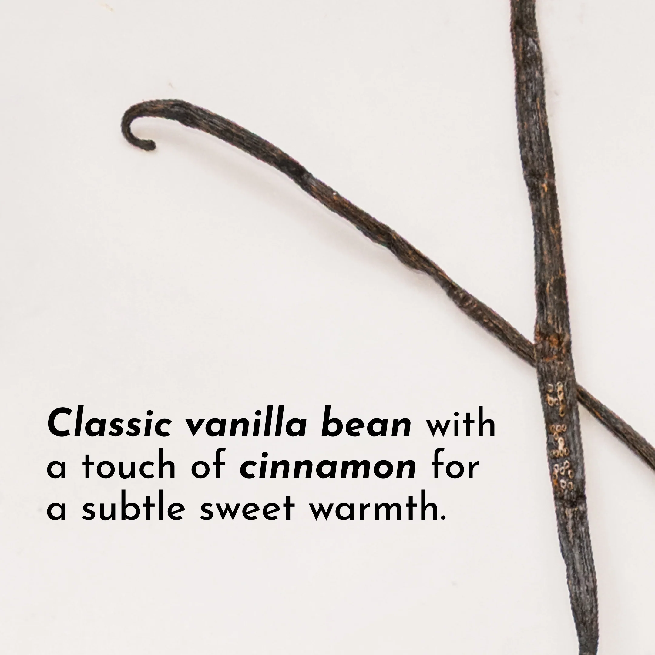 Vanilla Bean Protein Powder - Image 10