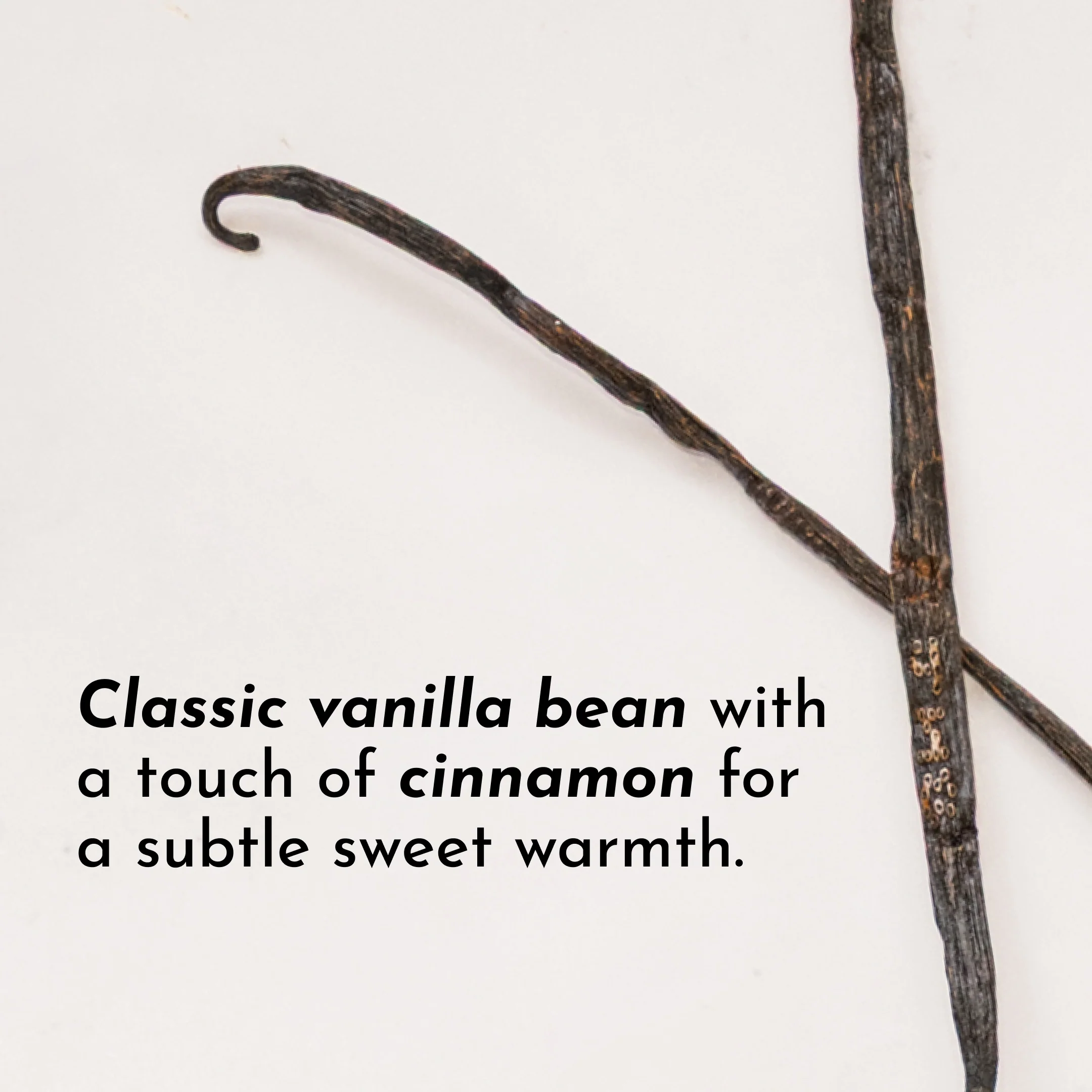 Vanilla Bean Protein Powder Stick - Image 10