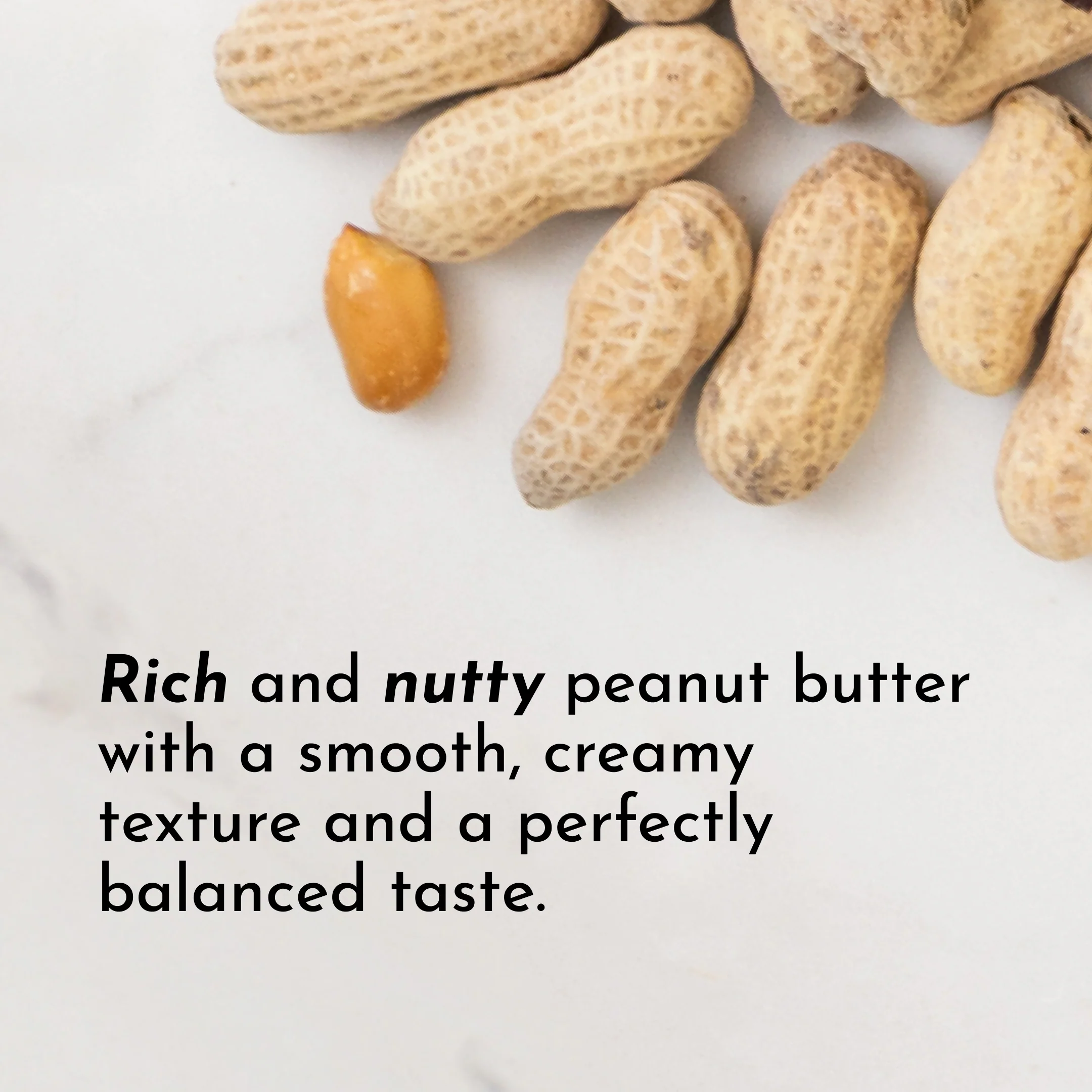 Vanilla Peanut Butter Protein + Creatine - Image 11