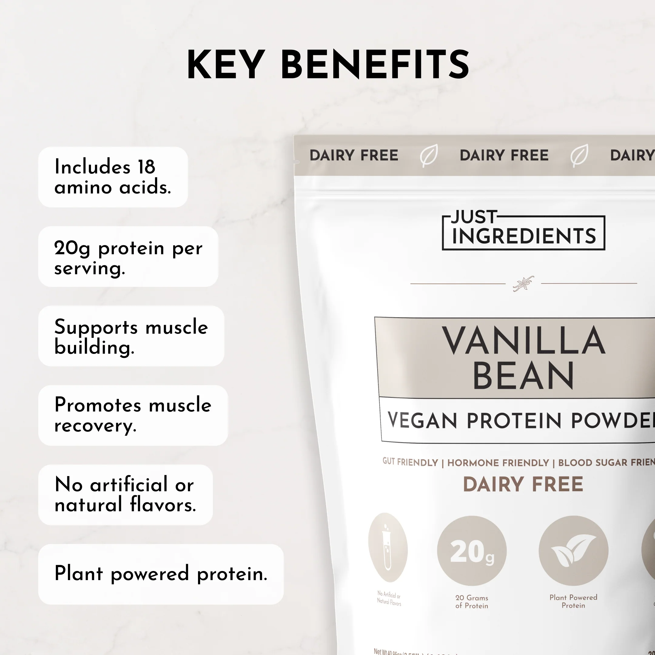Vegan Vanilla Bean Protein Powder - Image 8