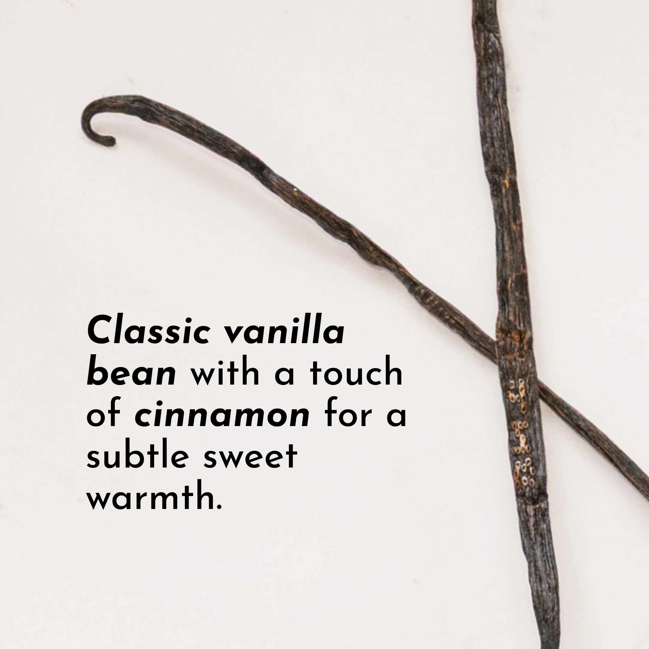 Vegan Vanilla Bean Protein Powder - Image 9