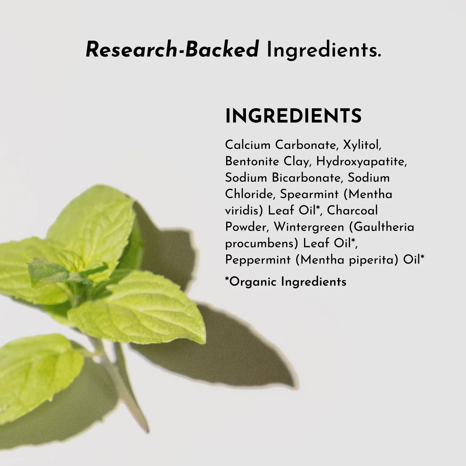 Whitening Remineralizing Tooth Powder (Mint) - Image 6